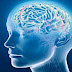 دراسة: كبر حجم المخ ليس ضمانا لزيادة معدل الذكاء