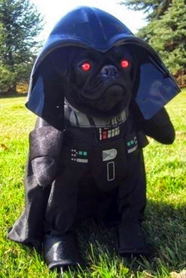 Darth Vader Dog Halloween Costume
