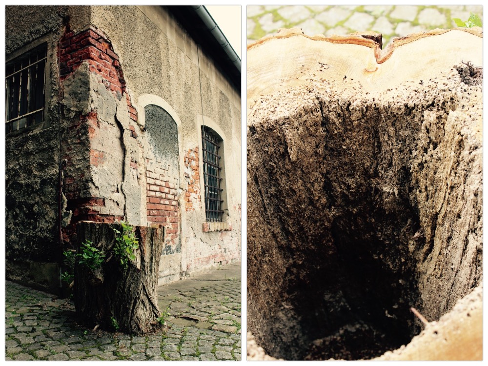 Lost Place Der Reiz Der Verlassenen Orte Vom Teufelsbergs Bis