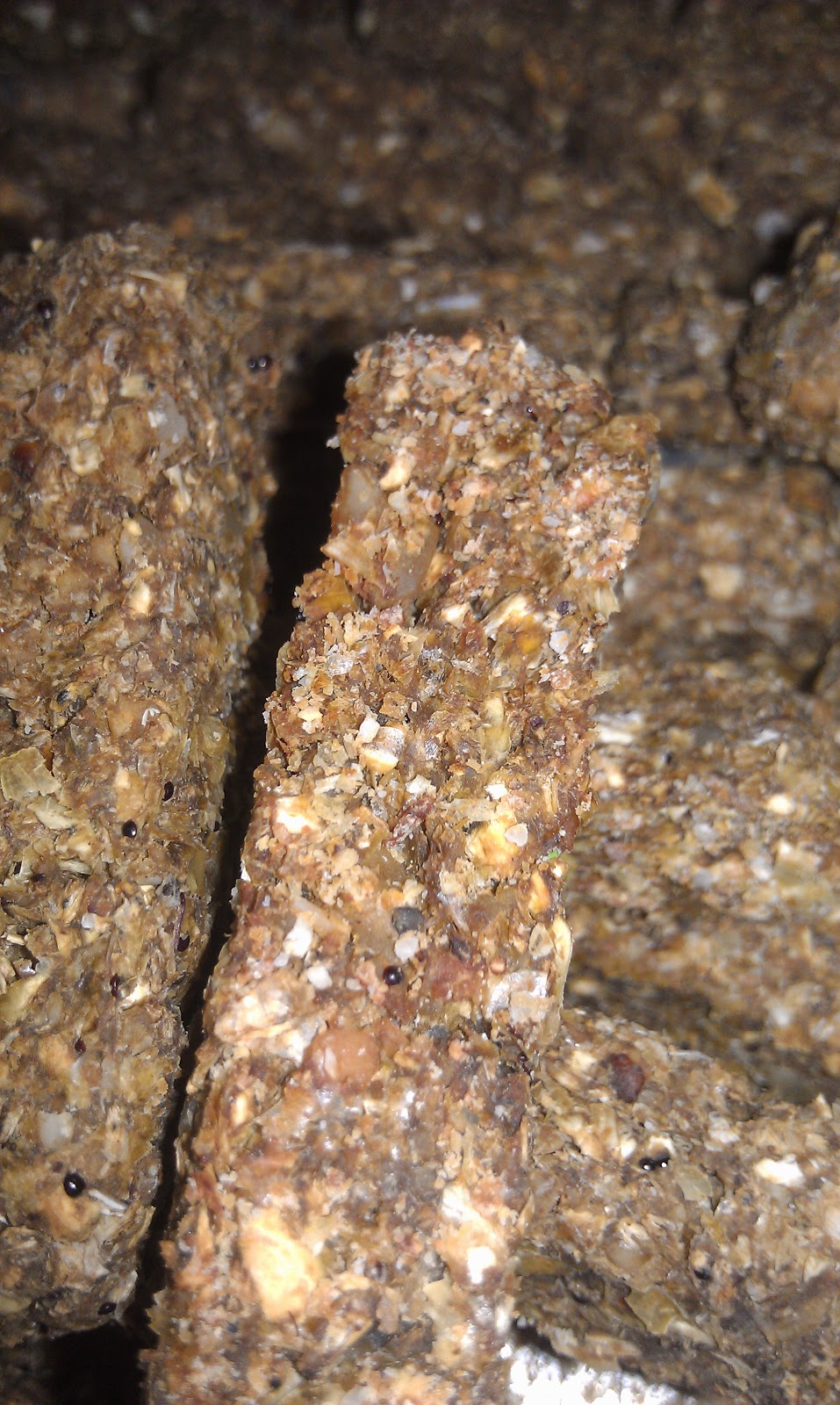 MI TECHO VERDE Pet food, homemade!