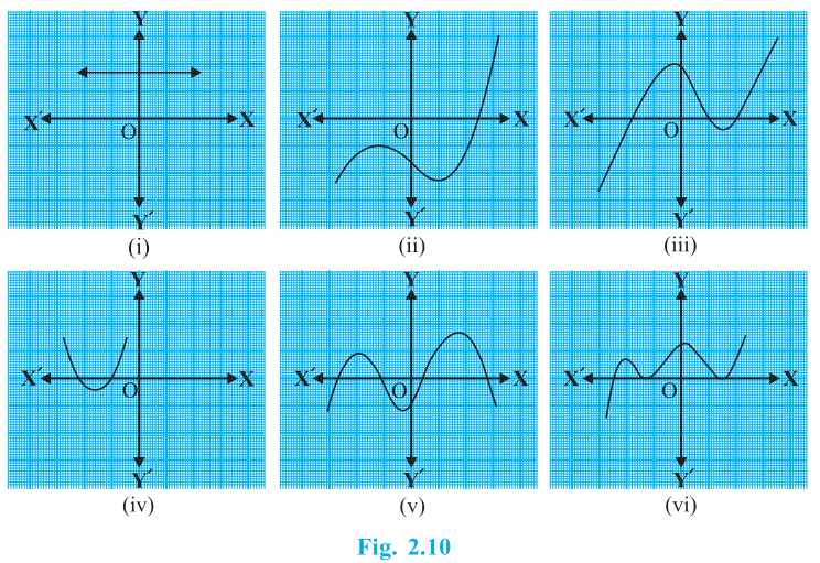 graphs-of-polynomial-functions-worksheet-worksheet