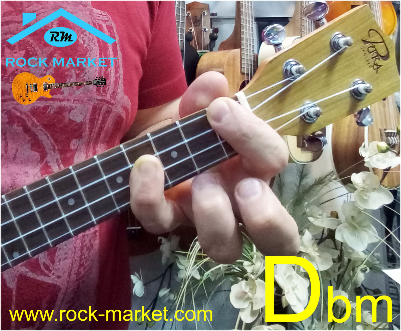 Top 17 a diyez akoru ukulele en iyi 2022