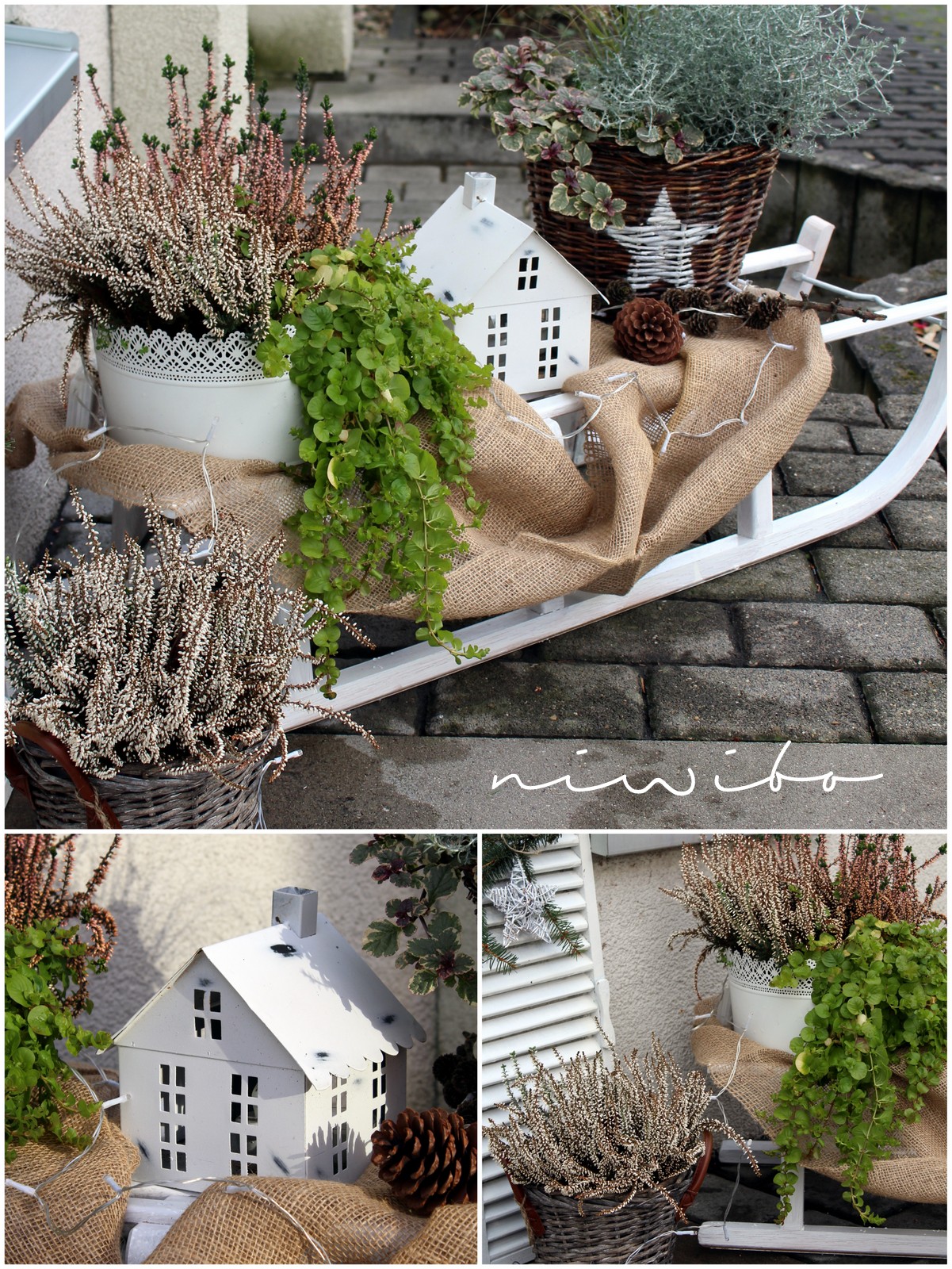 Niwibo Life Is So Beautiful Lieblingsecke Mit Schlitten Und Bummel Durch Scheveningen