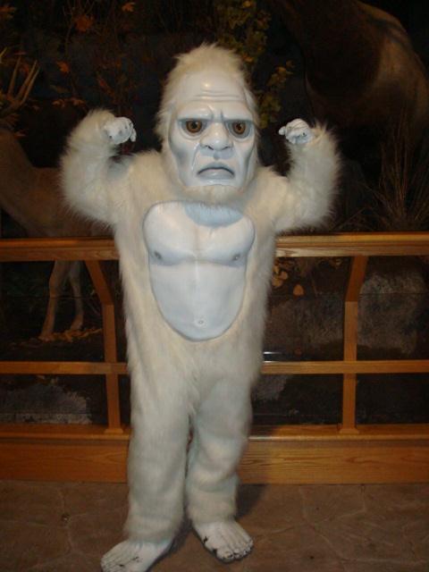 I Loved the Yeti: Top 10: Disguise