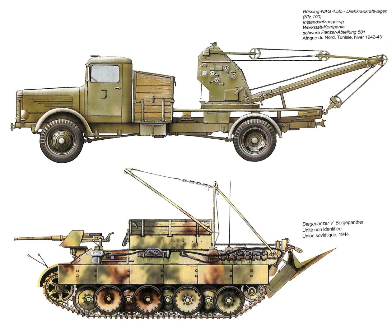 Axis Tanks and Combat Vehicles of World War II Bergepanzers