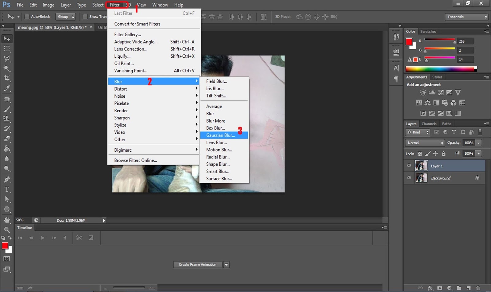 Cara edit foto agar blur di belakang objek menggunakan Apapun