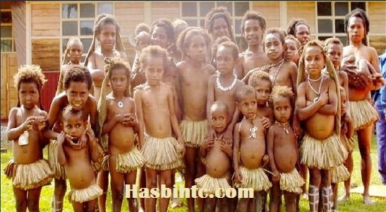 Mengenal Sejarah Budaya Suku Dani Papua - HasbiHtc