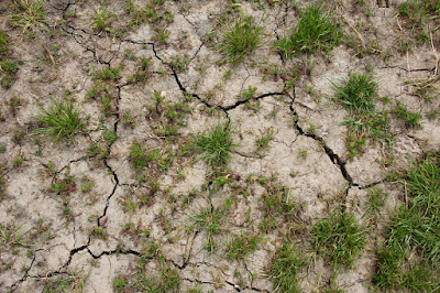 Ground