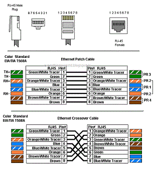 EVERYTHING : Color Coding Of Ethernet wires (CAT Cables )