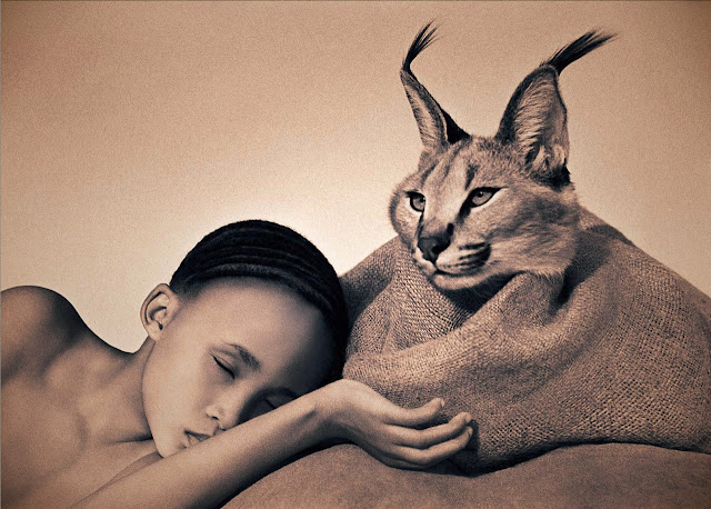 Gregory-Colbert06.jpeg