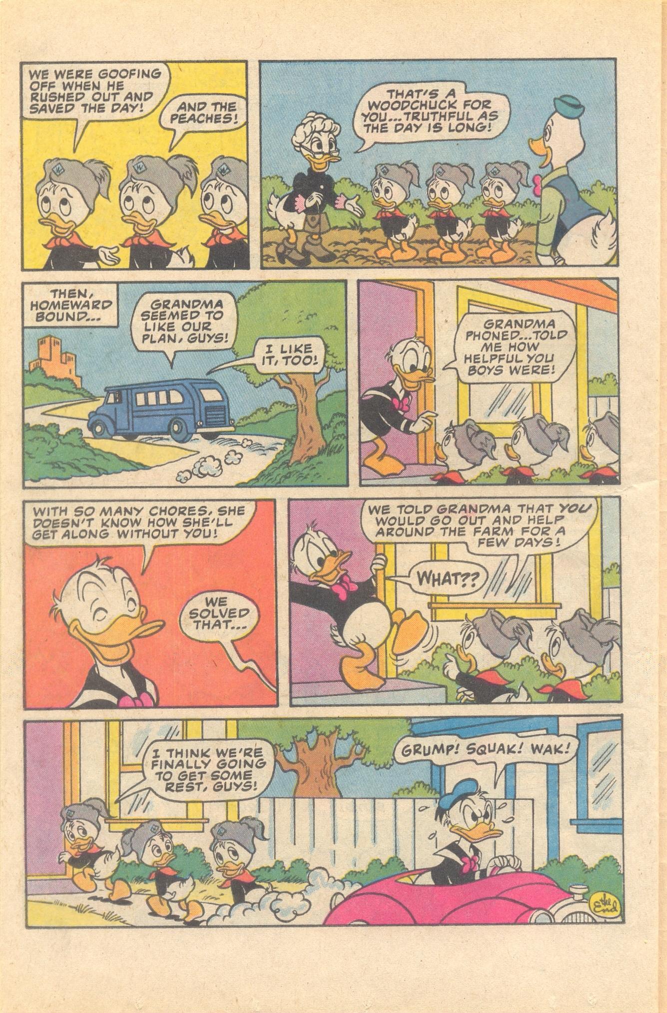 Read online Huey, Dewey, and Louie Junior Woodchucks comic -  Issue #79 - 26