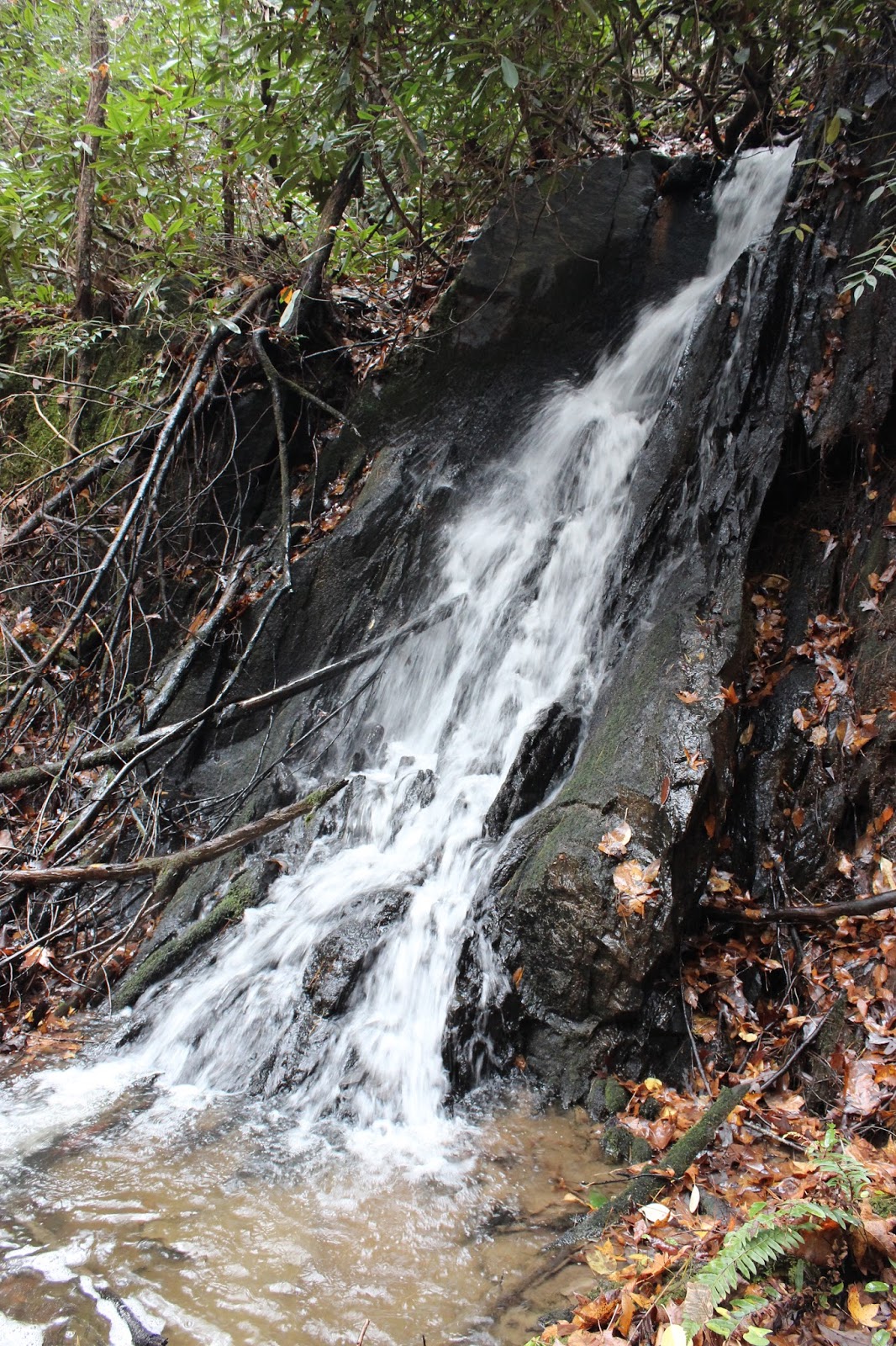 Cumberland Gal Exploring Doc Rogers Country