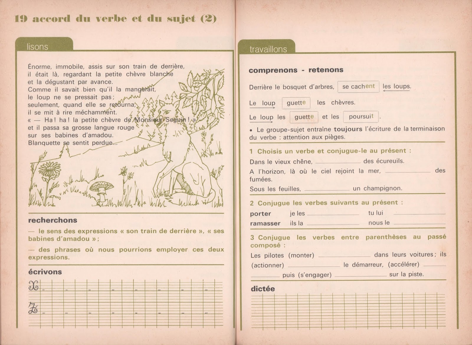 World Citizen New York Miami Dallas