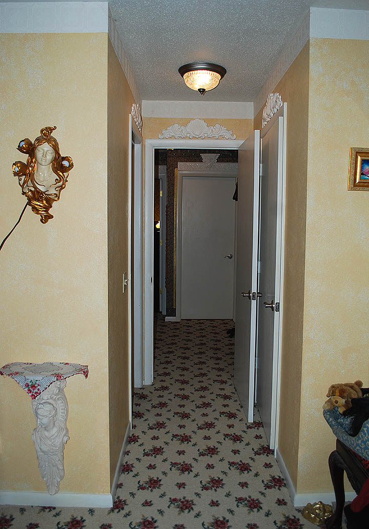 House for sale Napoleon Ohio Robison House