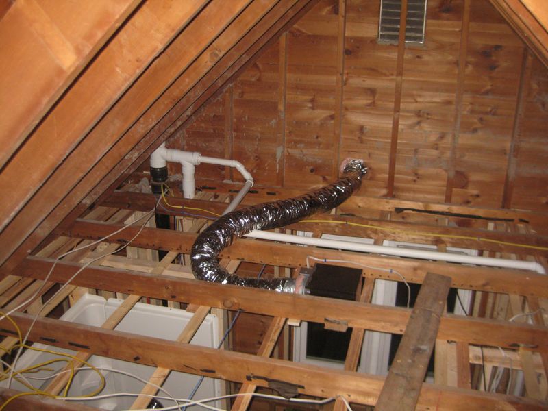 Mooses of the North: Progress in the Attic