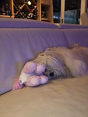 Trixie and her Unicorn Pillow