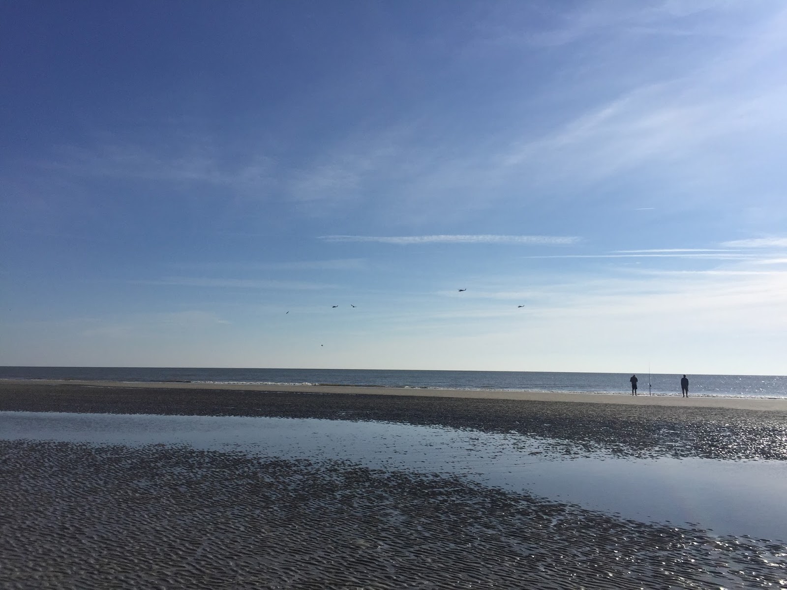 Travel Reviews & Information Hilton Head Island, South Carolina