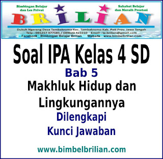 Download Soal IPA Kelas 4 SD Bab Makhluk Hidup Dan Lingkungannya Dan Kunci Jawaban
