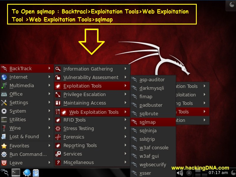 HackingDNA: Hack The Database with Backtrack 5
