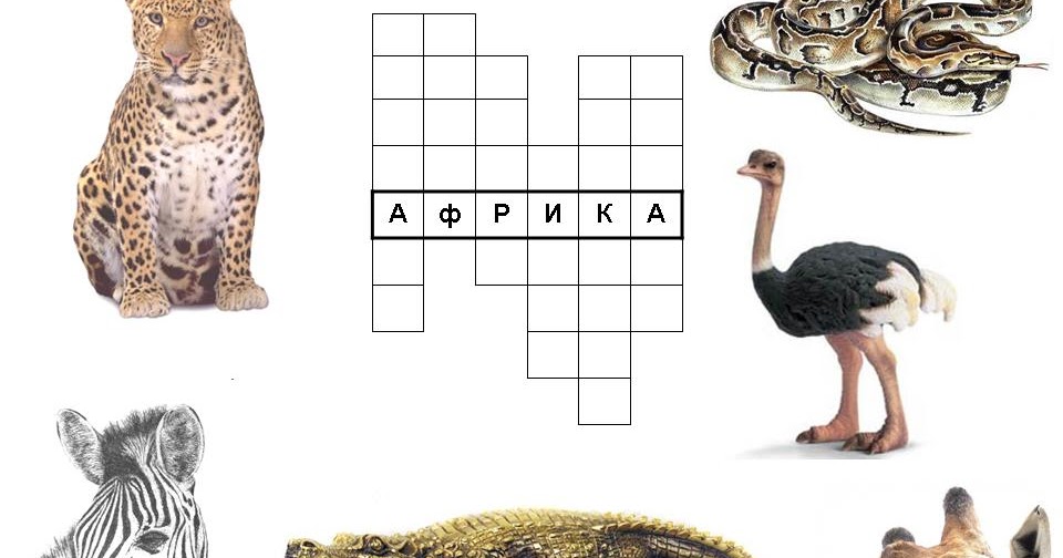 Рисует животных 9 букв сканворд