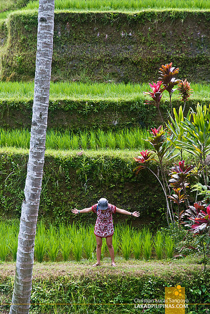 Ubud Bali Travel Guide Blog