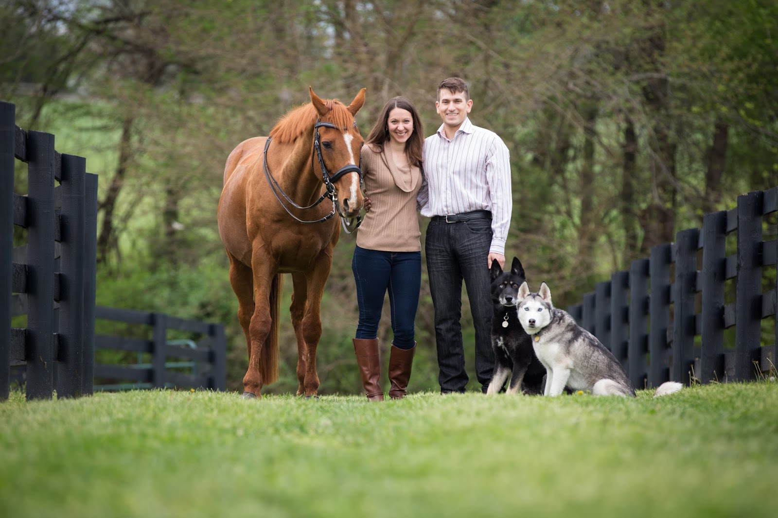 Horses, Huskies, and Husbands A Family Photo Break