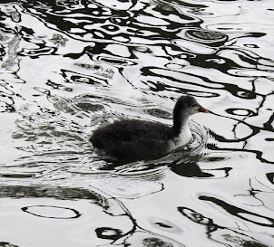 Shibden Park 24/05/21