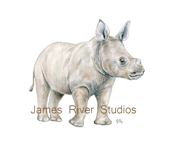 Finding Beauty In Life Watercolor Rhinoceros Baby Shower