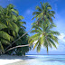 Maldive Islands – Travel Guide and Travel Info | Tourist ...