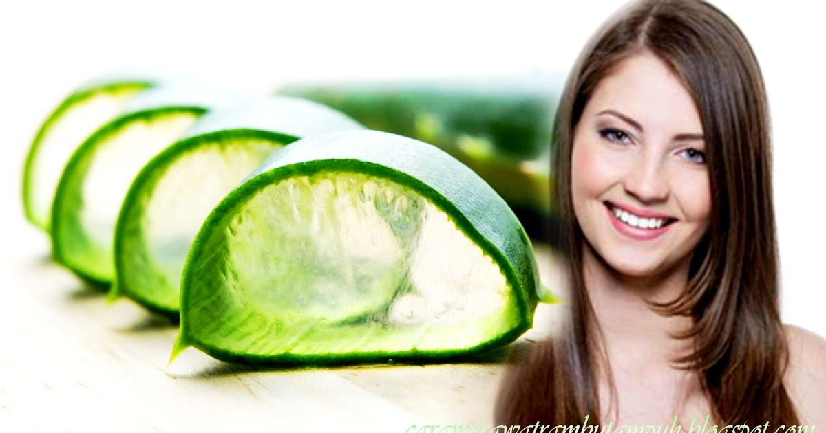 Merawat Rambut Menggunakan Gel Lidah Buaya