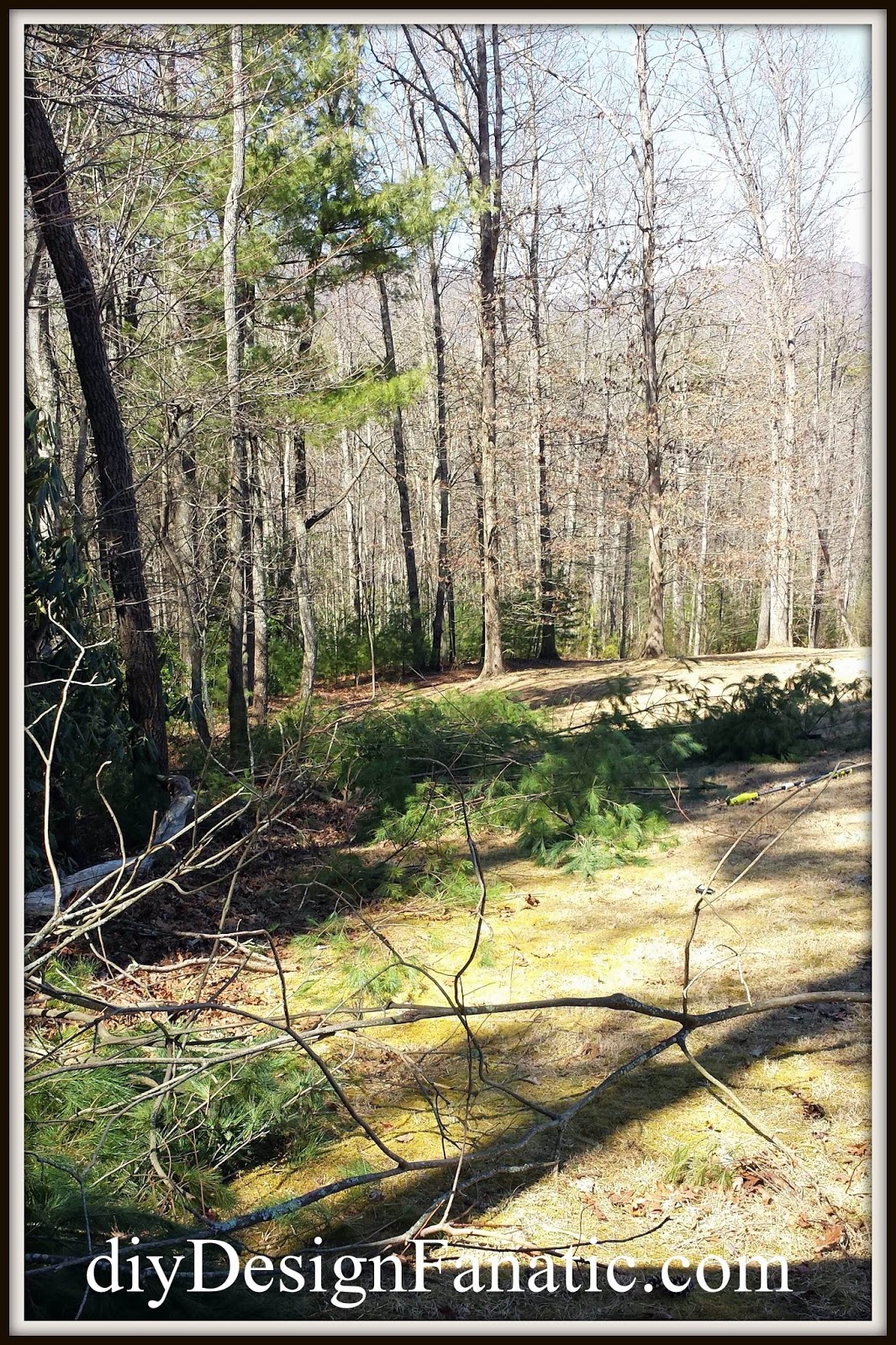 I'm so glad I was able to do this project by myself.