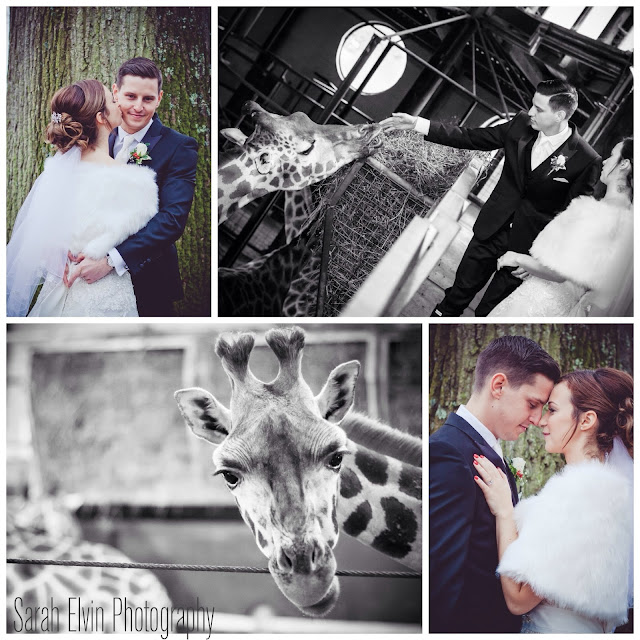 Marwell Hotel wedding