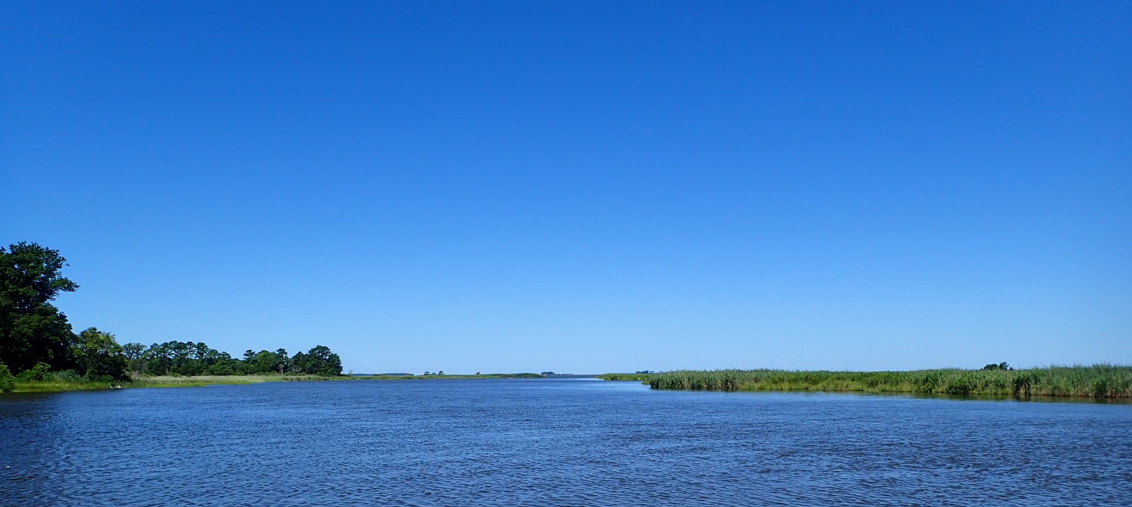 MidAtlantic DayTrips Wetipquin Creek Kayaking Adventure