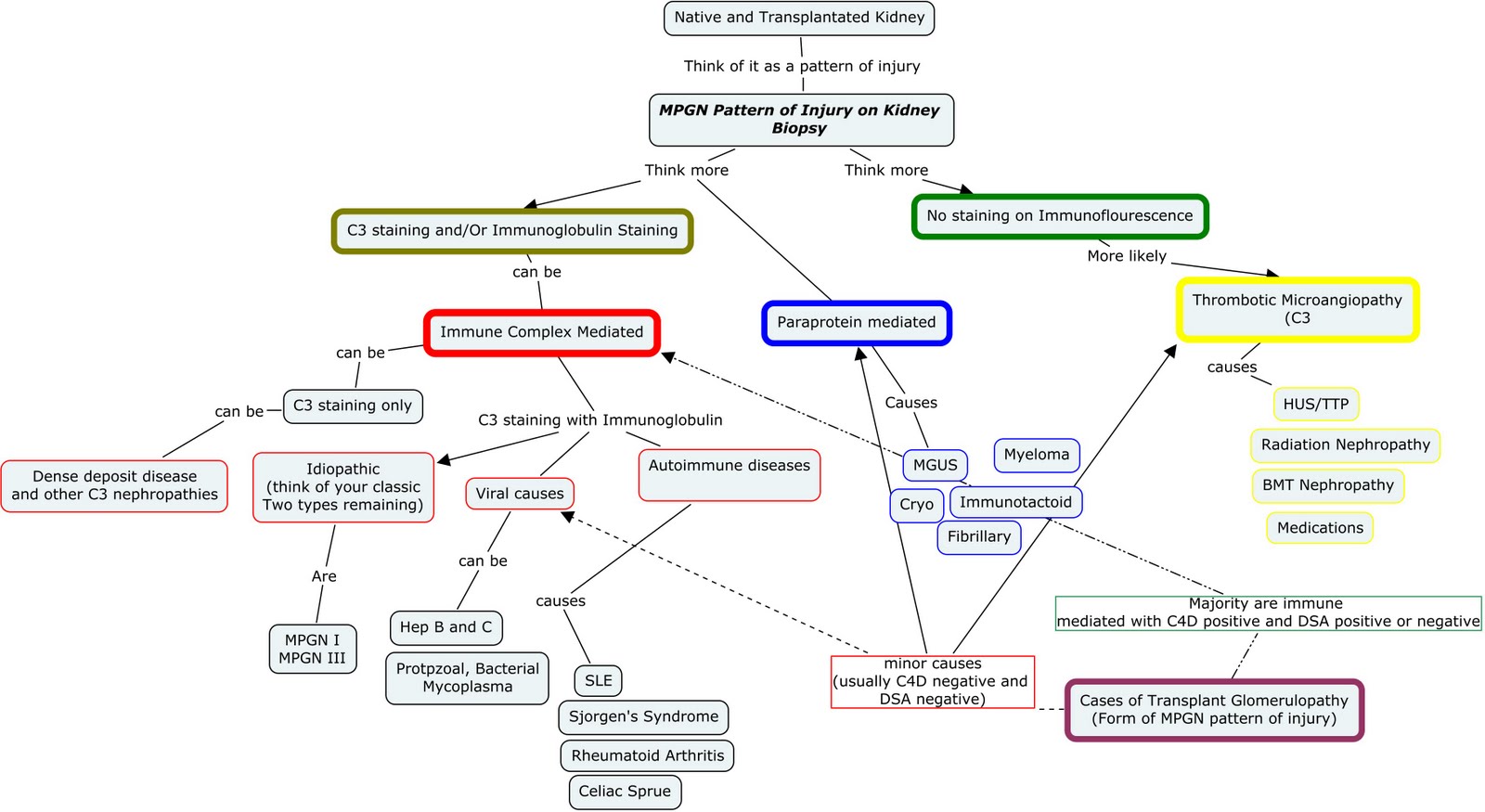 Disease Transmission Concept Map Worksheet Printable Worksheets And Activit...