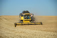 New Holland CX8060 Combine