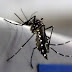 103,9 mil focos do Aedes Aegypti e a dengue explode em 221 municípios da Paraíba