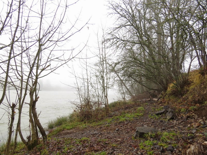 Photos by Jan Off D Street in Springfield,Oregon/Then Day Island Park