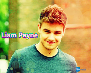 Liam Payne from One Direction HD Wallpaper