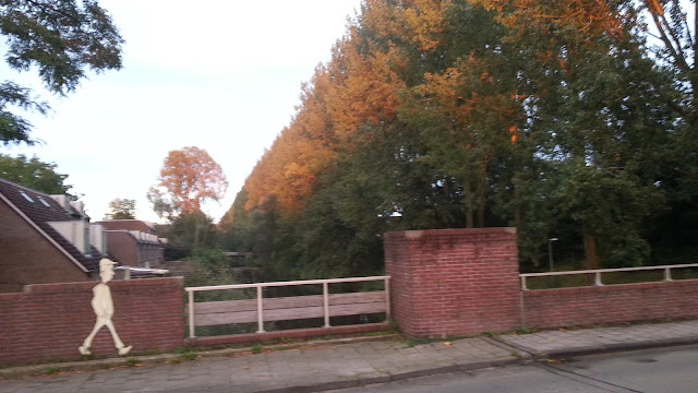 BEIJUMNIEUWS: NOG EEN PAAR ZOMERSE DAGEN (overgang zomer-herfst)