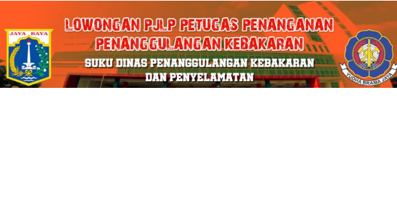 Lowongan Kerja Dinas Penanggulangan Kebakaran dan Penyelamatan Provinsi