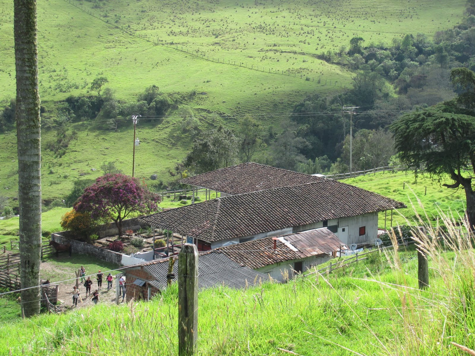 SALENTO, SENDEROS Y PAISAJES: RUTA COCORA-CERRO MORROGACHO-COCORA