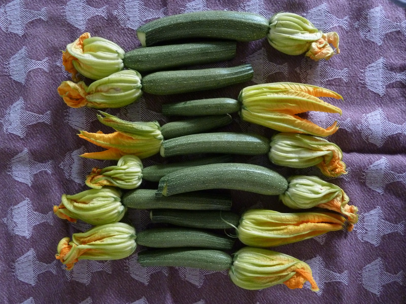 Überall &amp; Nirgendwo: Gefüllte Zucchini-Blüten auf Tomatensoße.....ein ...