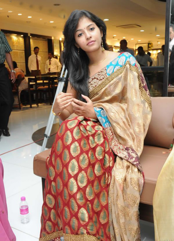 SVSC+anjali+in+saree+2.jpg