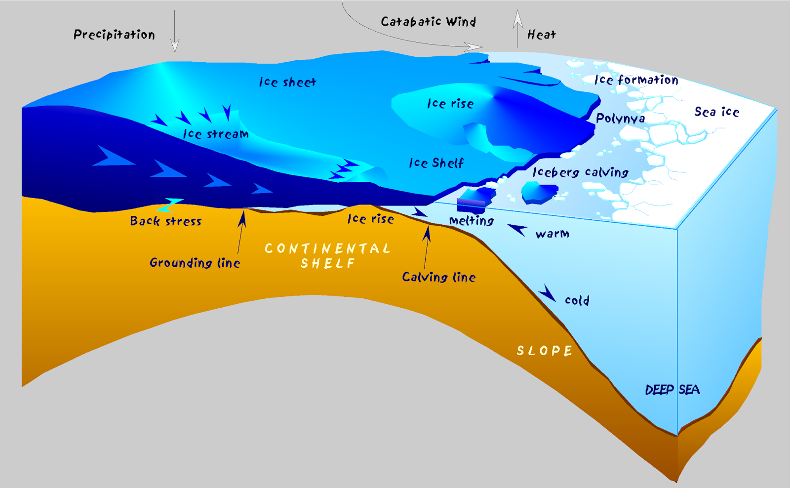 MEC&F Expert Engineers the accelerating melt of the ice sheets