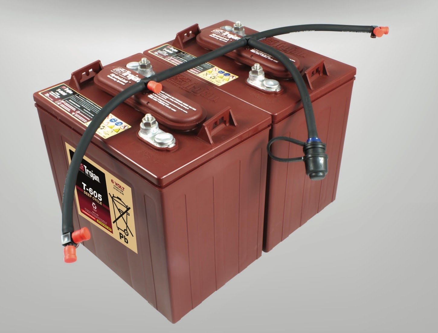 Denali Rose New Batteries (with a builtin watering system!)