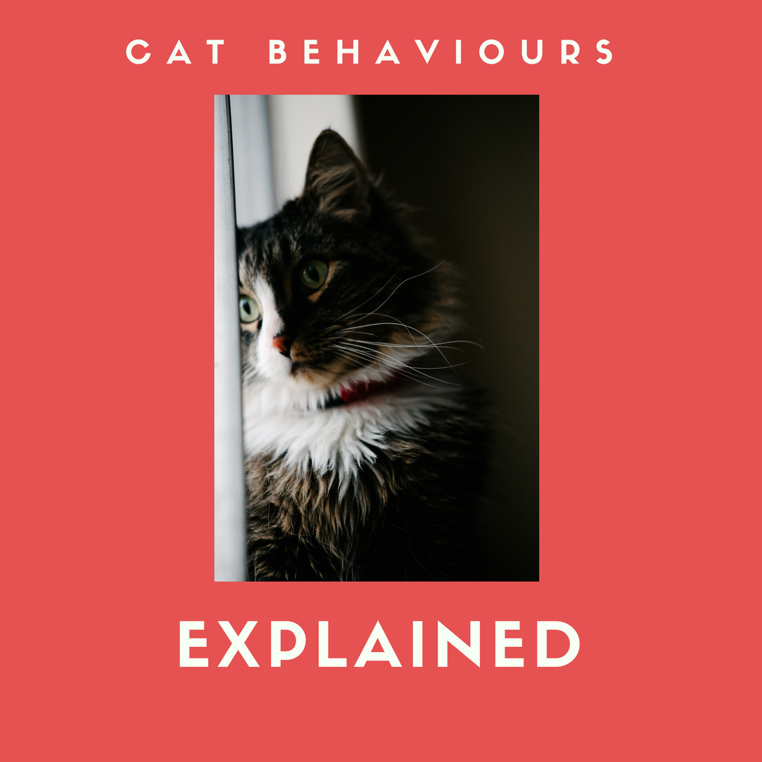 Beauty Under 10 Beauty Should Only Take 10 Minutes