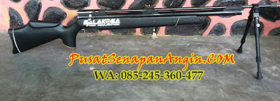 Senapan angin Paling Bagus dan murah Untuk Berburu