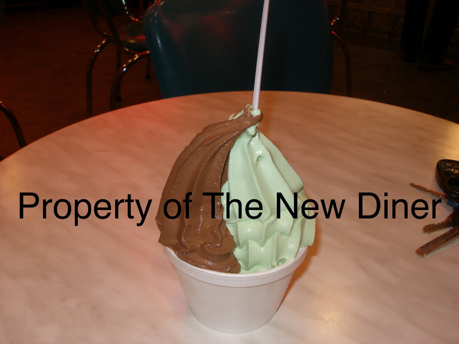 The New Diner Bigg Chill Frozen Yogurt