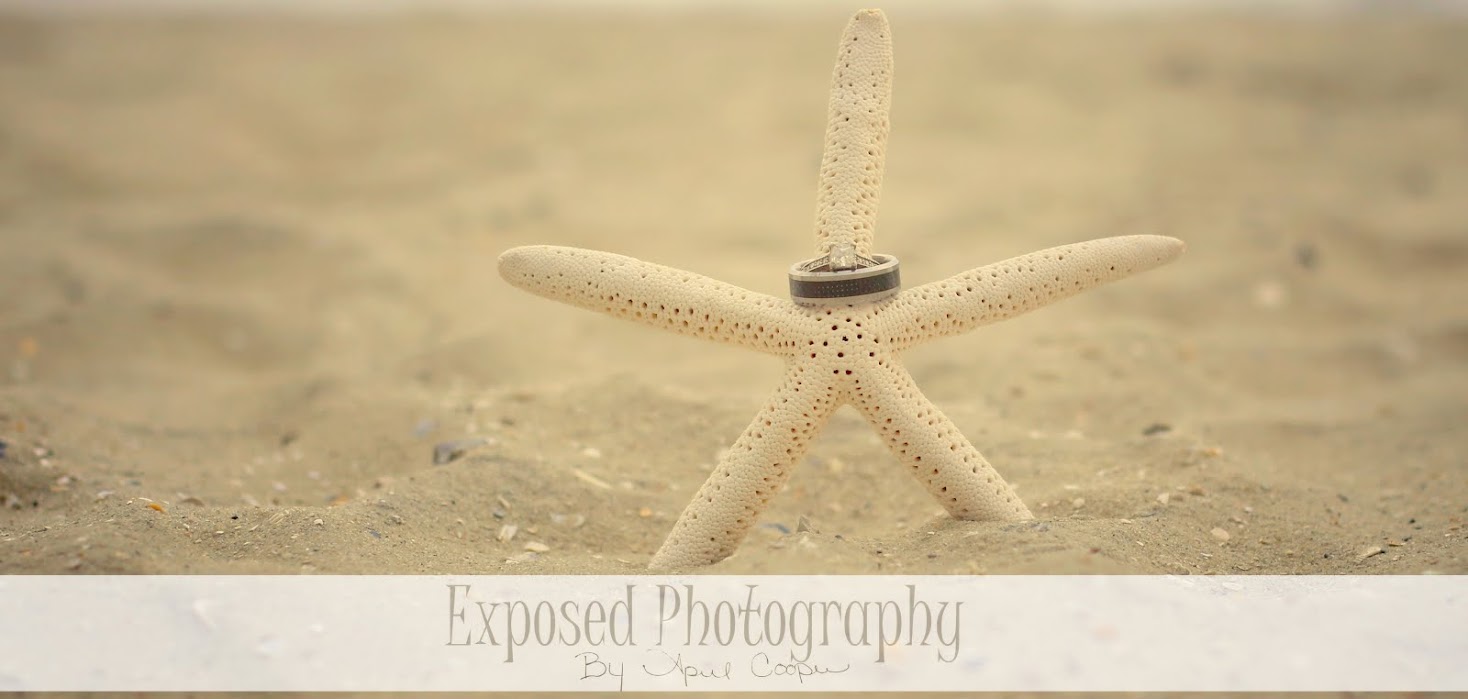 Exposed Photography By April Cooper