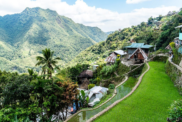Batad-Ifugao-Luçon-Philippines